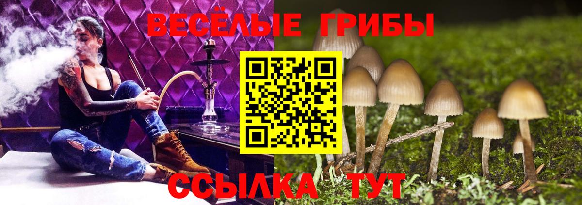 Галлюциногенные грибы Cubensis  Псилоцибиновые грибы ЛСД  Вход с VPN  Валуйки 